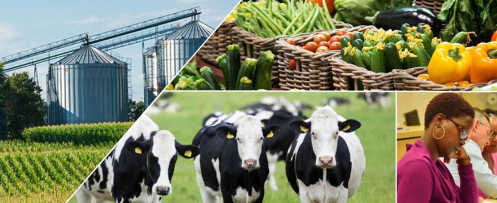 Agri-Business Insurance Agri-Business Insurance